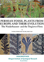 Permian Fossil Plants
