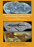 Some new and exciting Triassic Archosauria from the Dolomites