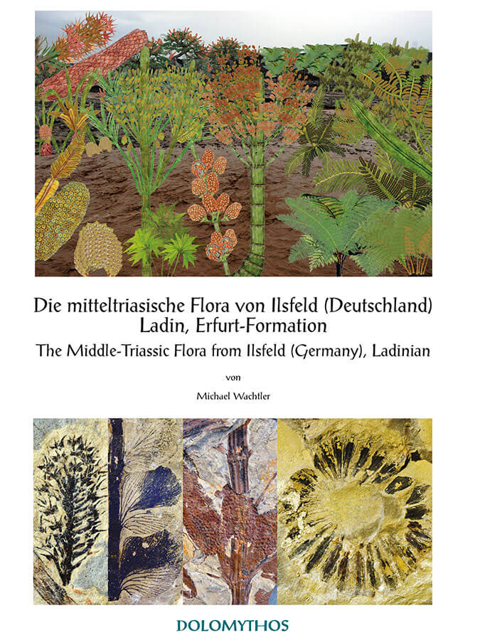 Buchvorstellung: Die mitteltrissche Flora von Ilsfeld (Deutschland)