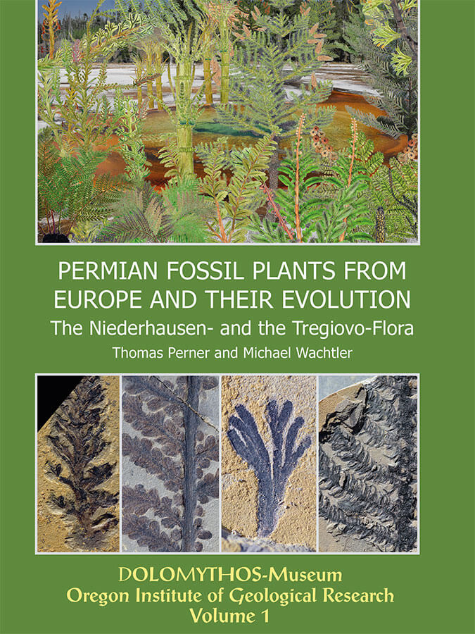 Buchvorstellung: Permian Fossile Plants From Europe and their evolution